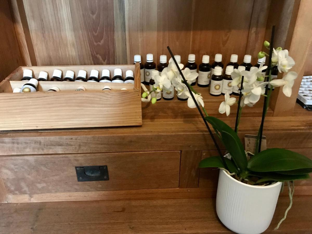 Coeur De Roses, Gite & Chambre D'Hotes Alaigne Ngoại thất bức ảnh